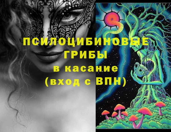 стаф Алексеевка
