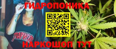 молекула духа Пенза