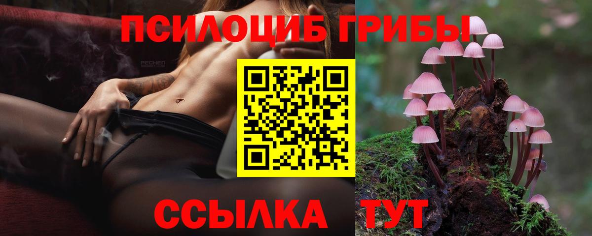 купить   Вход с VPN  Тулун  Галлюциногенные грибы мухоморы  Псилоцибиновые грибы Psilocybine cubensis 